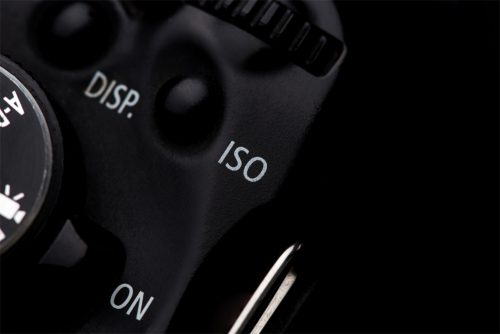 What Does ISO Stand For In Photography (Understanding ISO For Beginners)