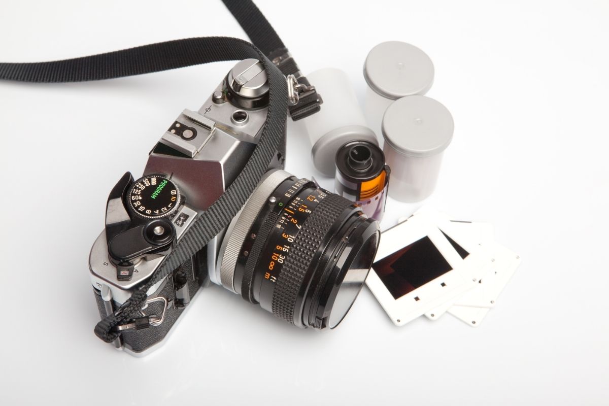 The Best Option For Taking A Macro Photograph: An Essential Beginner's Guide