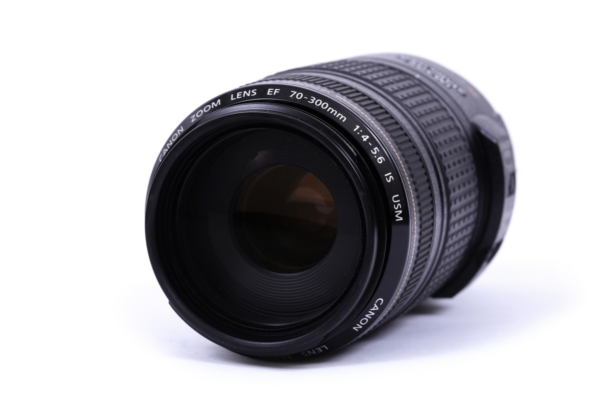What Is A 70-300Mm Lens Good For (70-300 Mm Lens Explained)