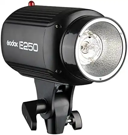 Godox E250 Strobe Flash Lighting Lamp Head
